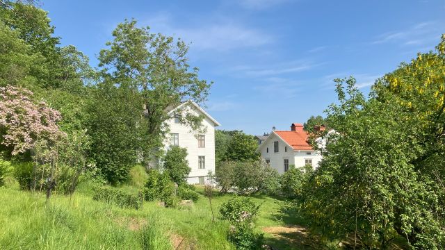 Färjenäs